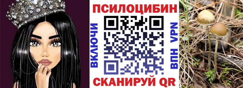Галлюциногенные грибы мухоморы  Буинск 
